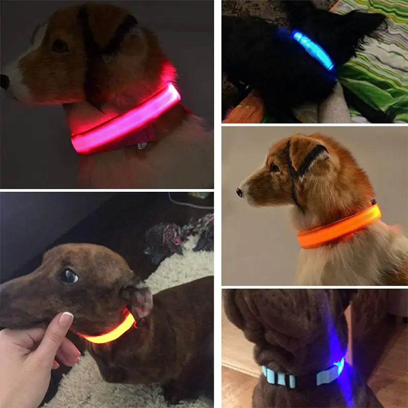 Adjustable LED Pet Collar